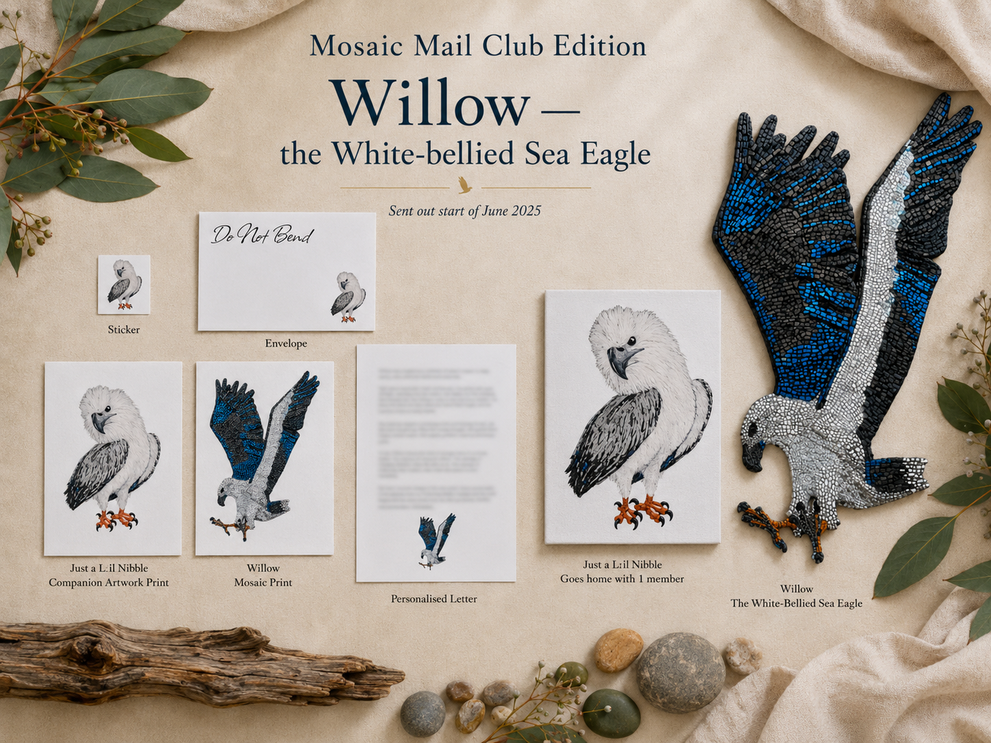 Willow White-bellied Sea Eagle print club edition with story letter, collectible prints and keepsake details for wildlife art collectors.