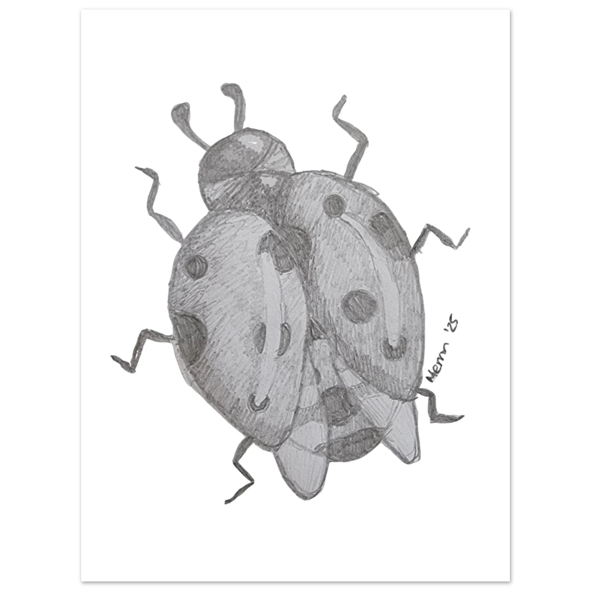 b08c9181-9f84-4871-9e70-bf35ffc6f8ff