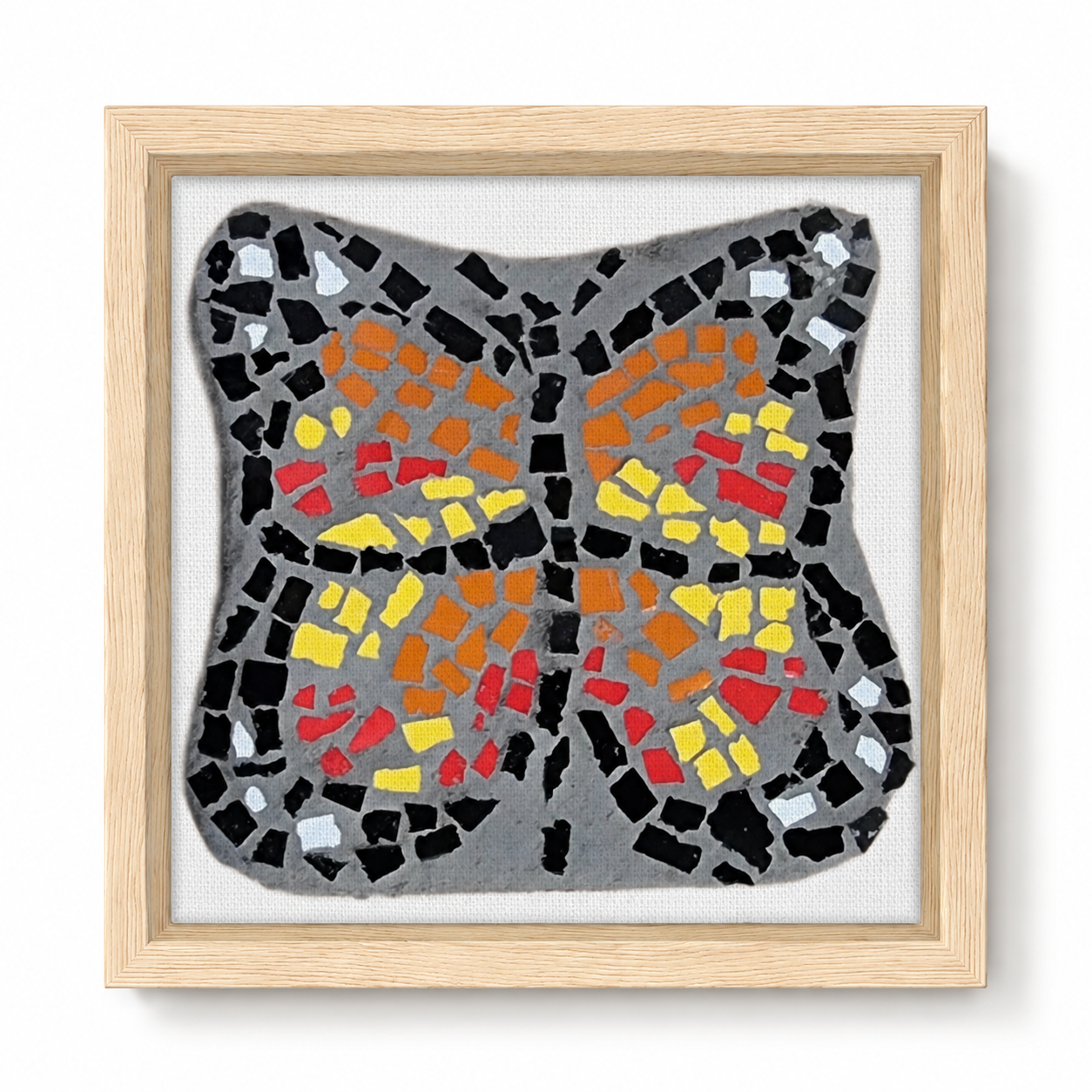 Butterfly Coaster Framed Canvas Print | Transformation Wall Art