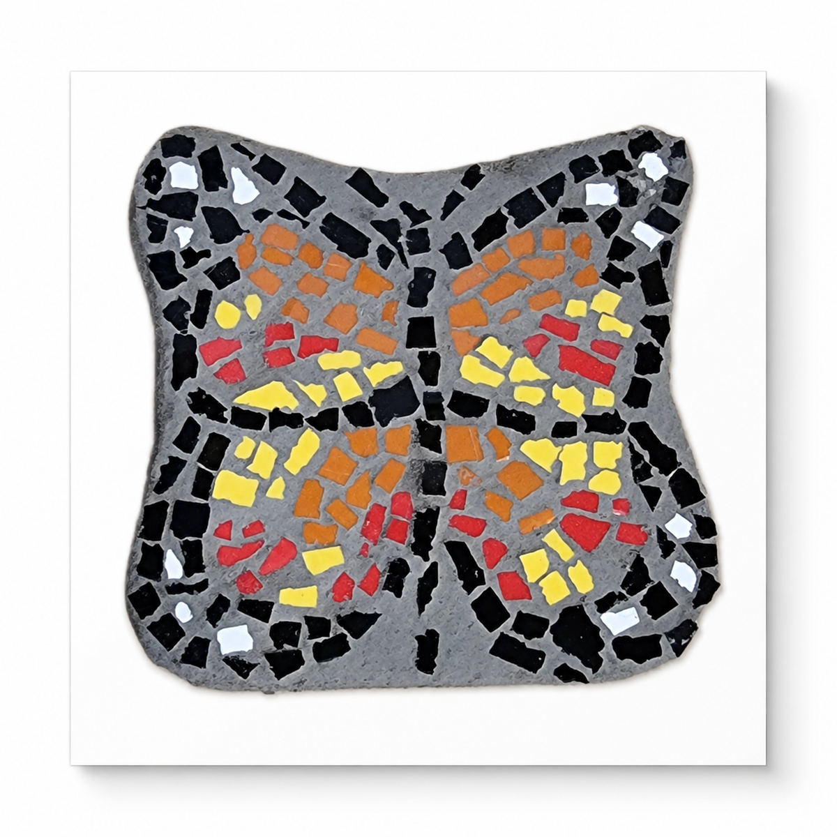 Butterfly Coaster Fine Art Poster | Transformation Wall Art