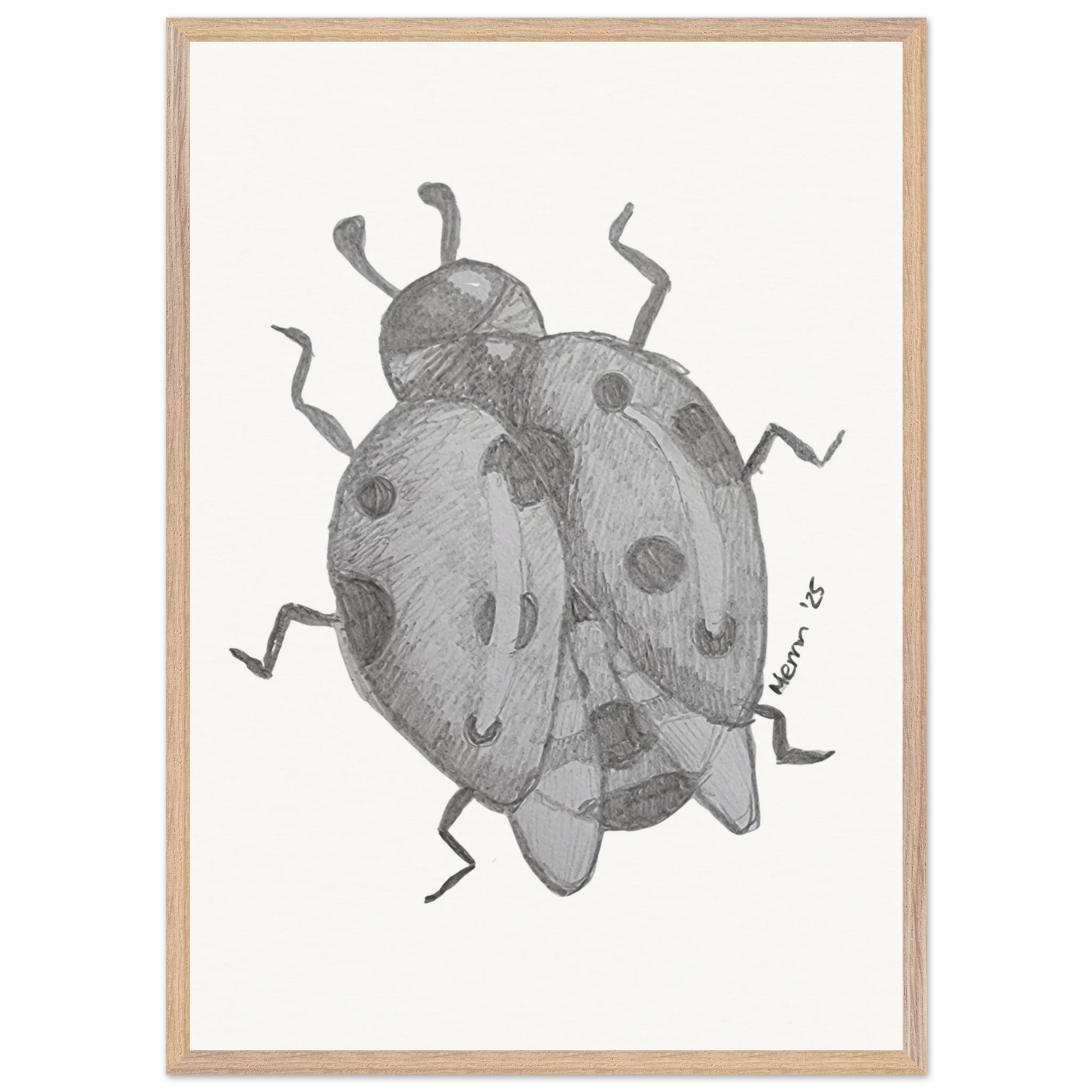 c5a4d2d6-6f5f-438b-aeee-2b704a7d92ef