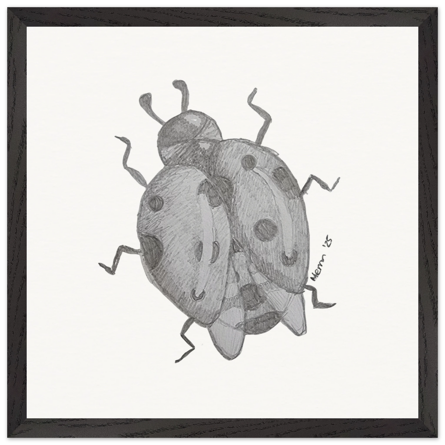 c6a016c8-7c43-4f1b-a4a7-3b70aa321d03