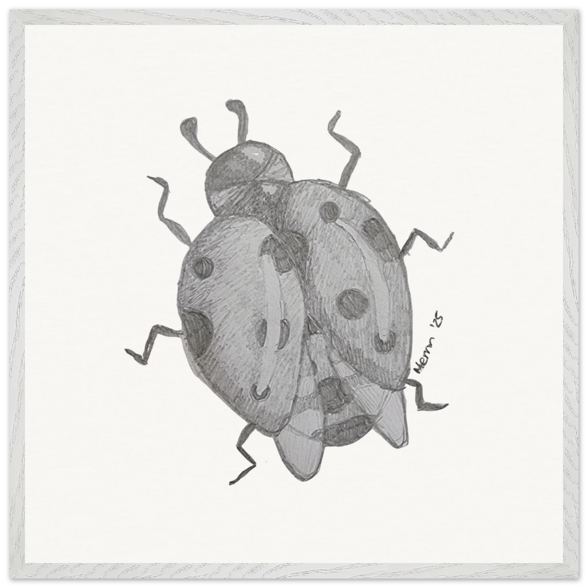 d03db980-9d79-4731-9146-058db3a91d56