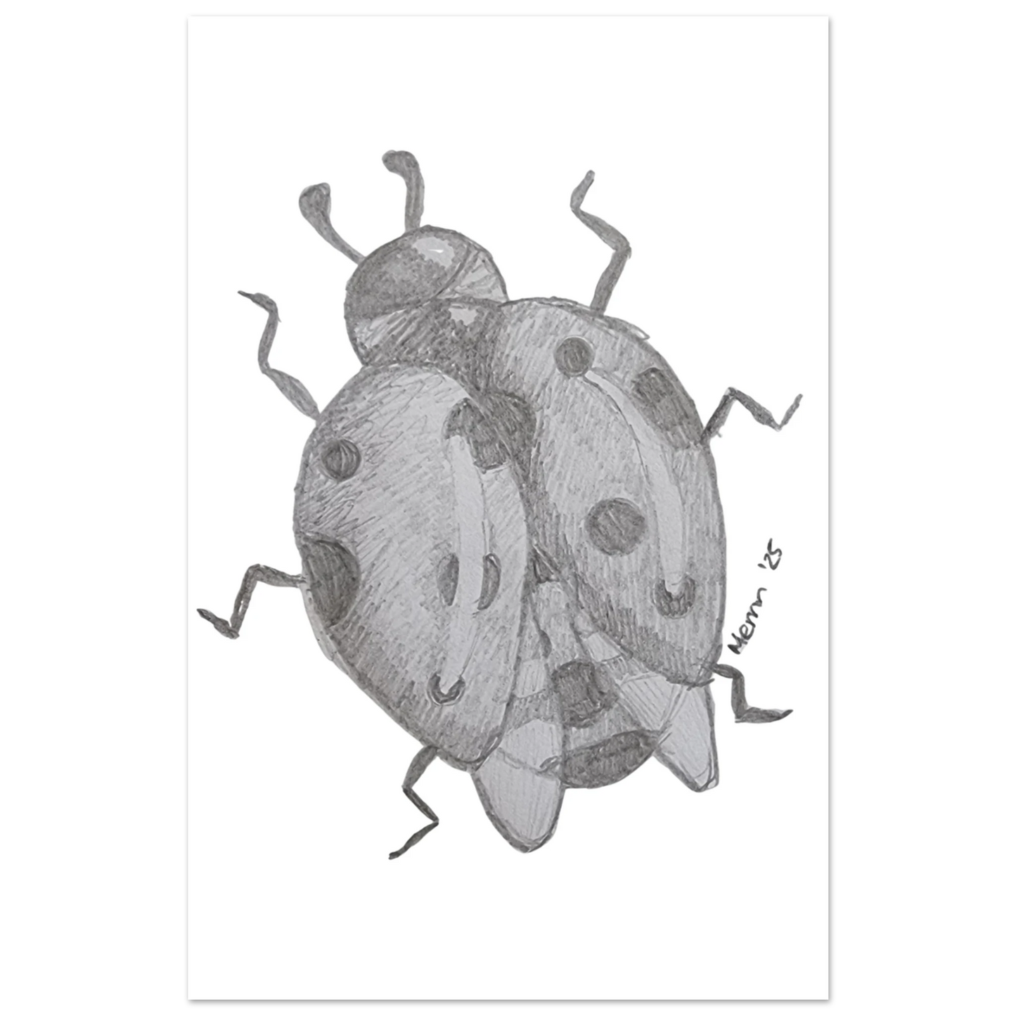 dd17035f-509e-4ba1-94fa-d9d3c4f4aa9c