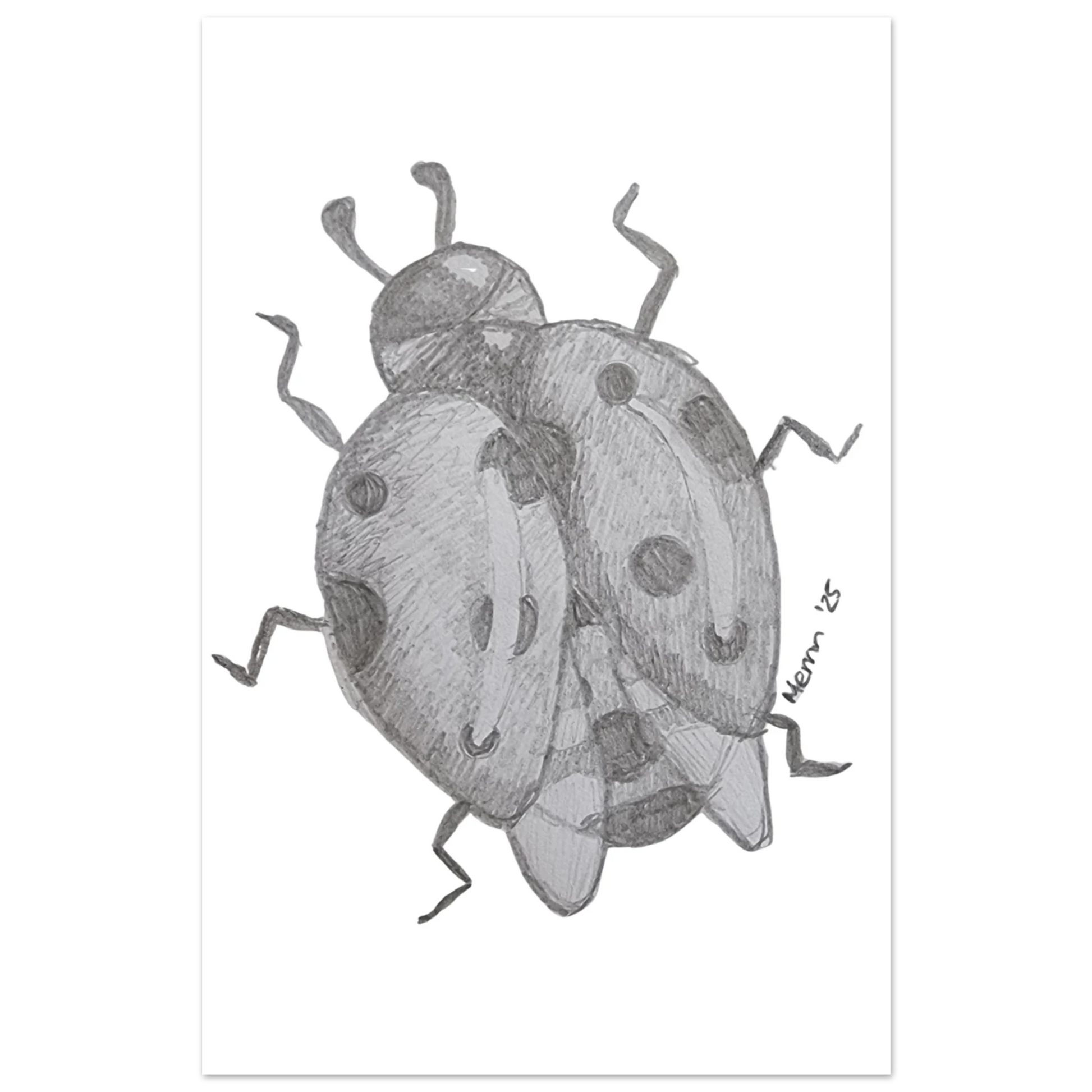 dd17035f-509e-4ba1-94fa-d9d3c4f4aa9c