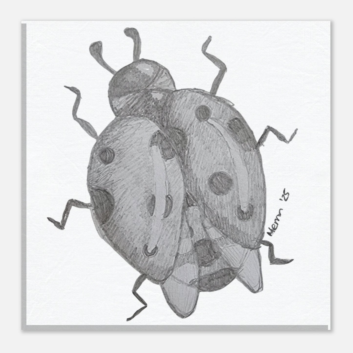 dd7c5cb8-23a3-45bb-8a2c-ed0fb74dabcf