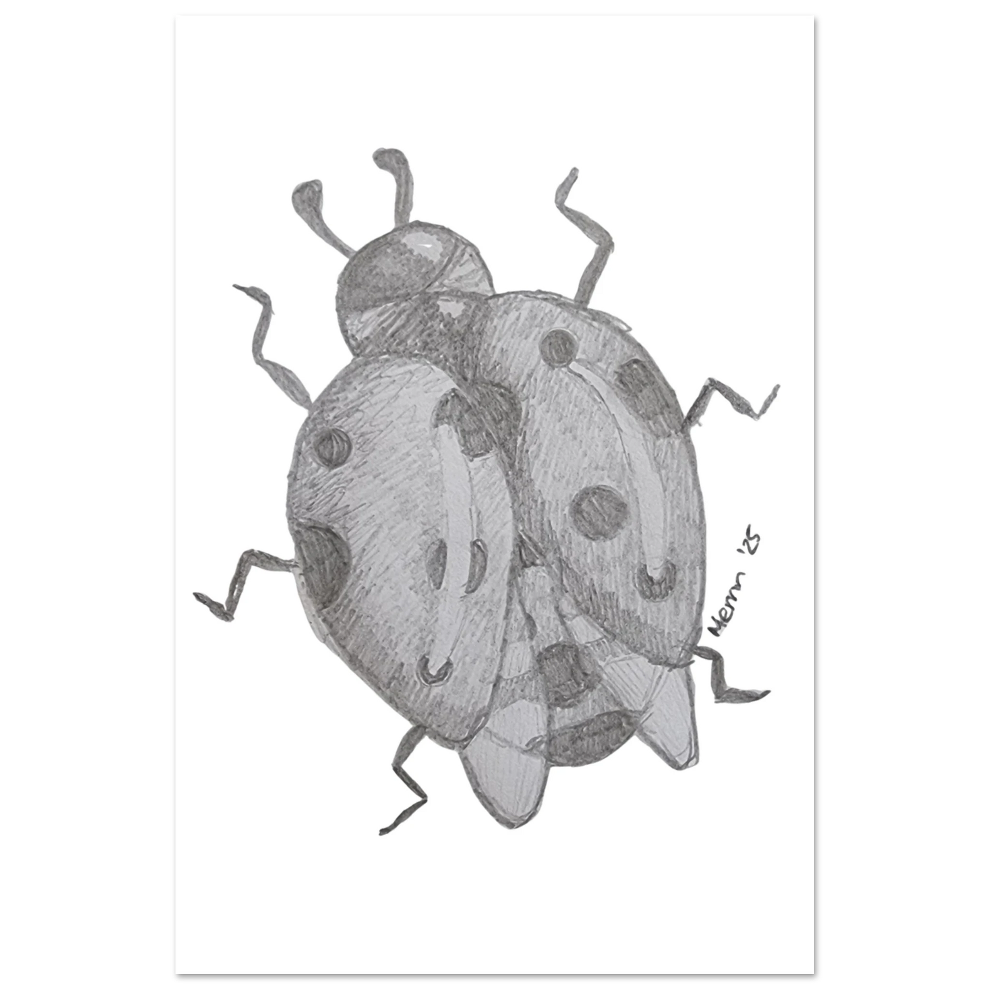 dea35c12-c53a-4b89-95e2-cb8521fce75b