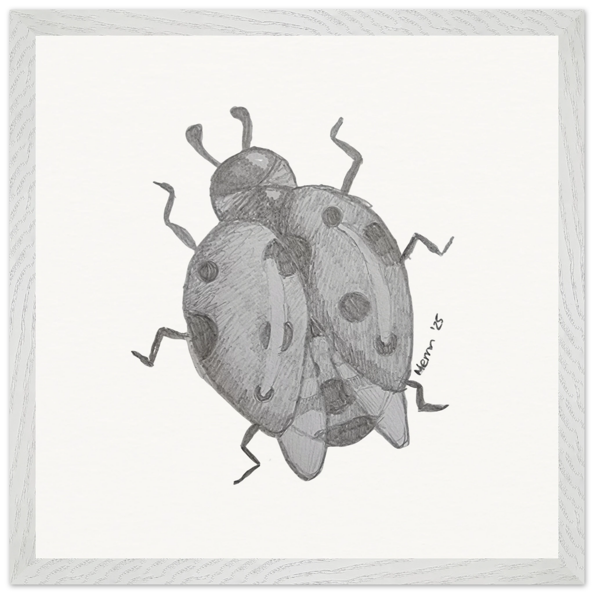 e26e1dfc-2865-4b0f-8360-39fd28d03458