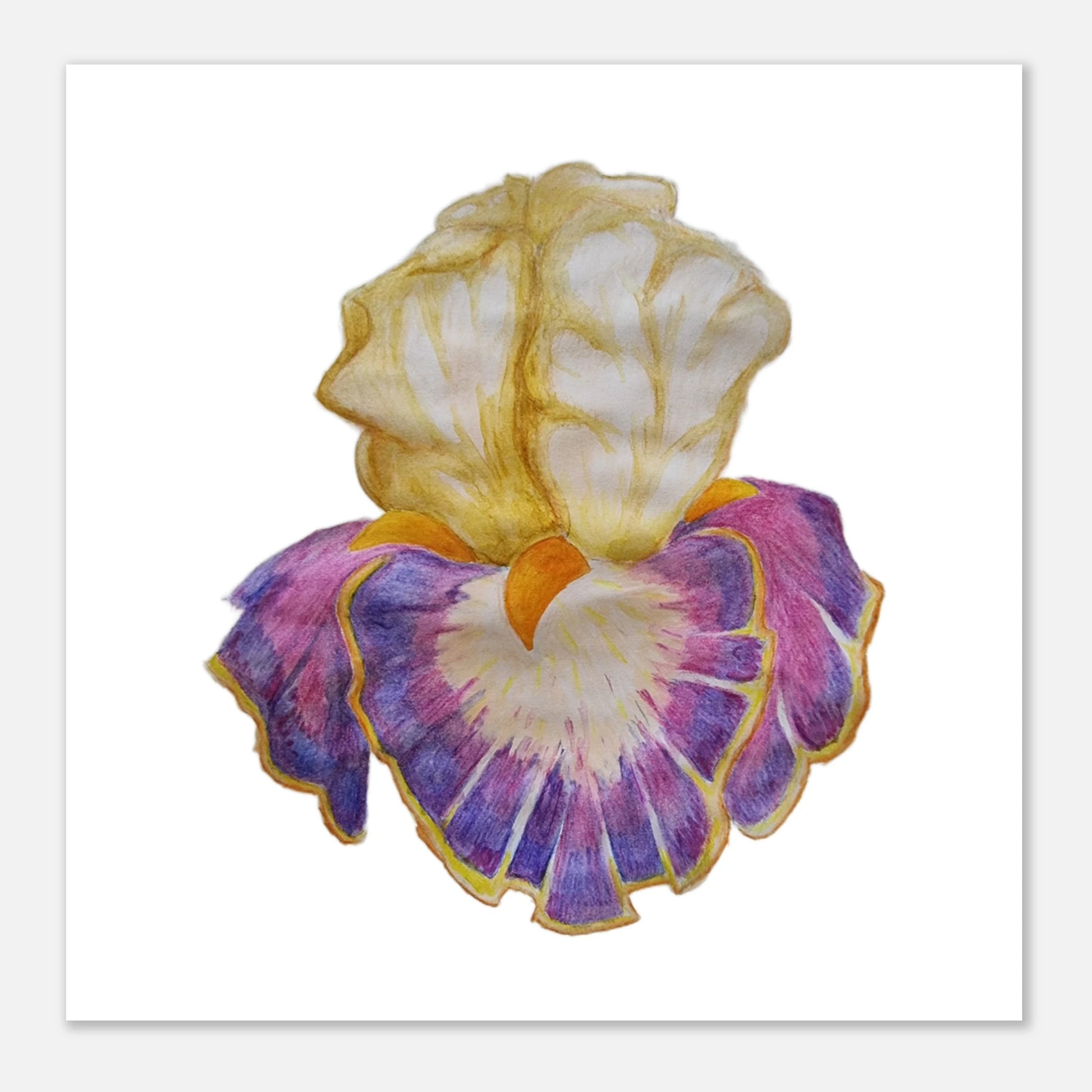 e9e3d572-3203-4612-8b11-8b59f49efdf6