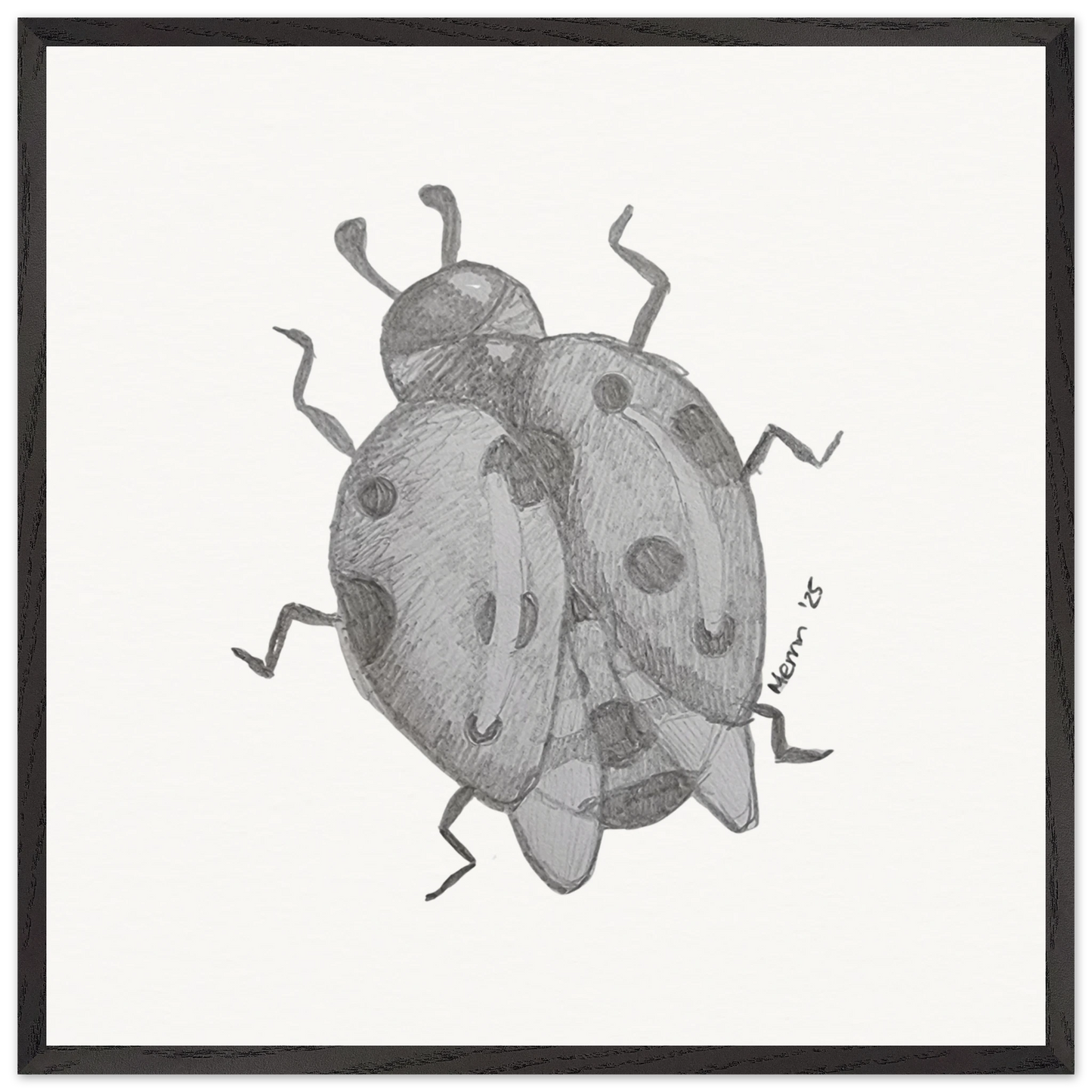 f6542cd3-bfcb-4eb6-ae00-d7b38638fd13