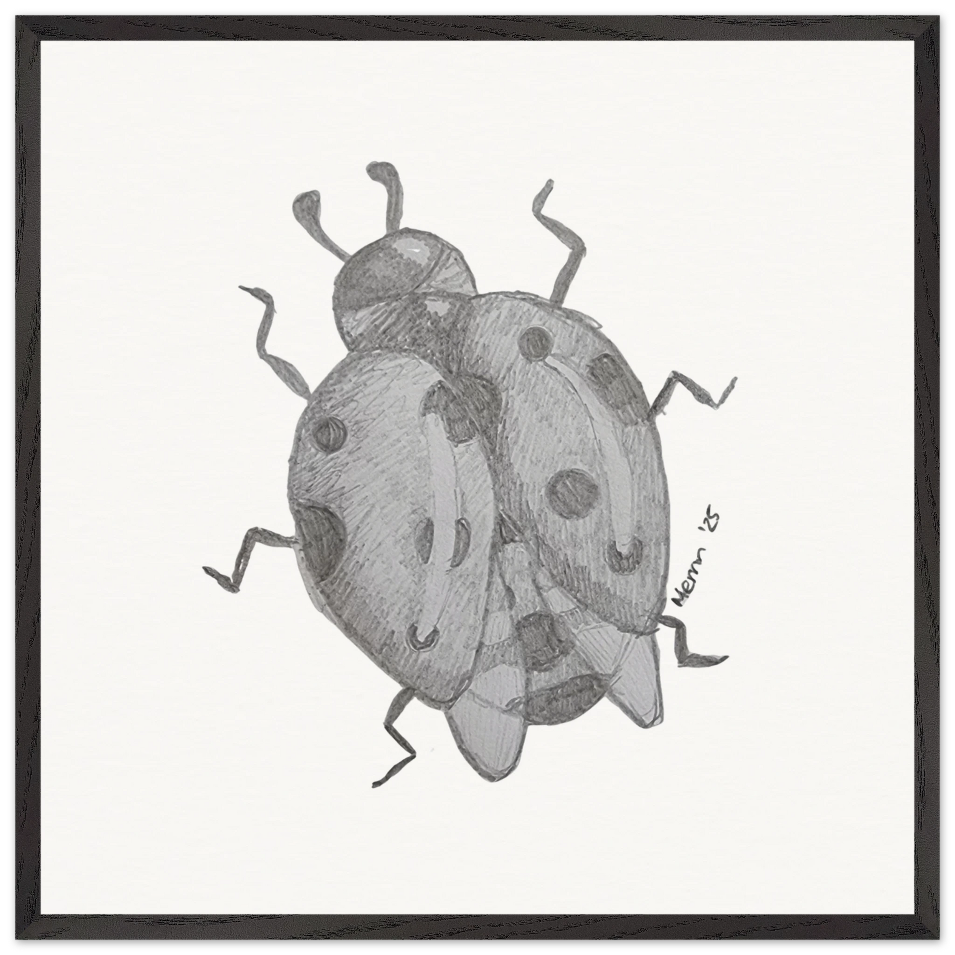 f6542cd3-bfcb-4eb6-ae00-d7b38638fd13