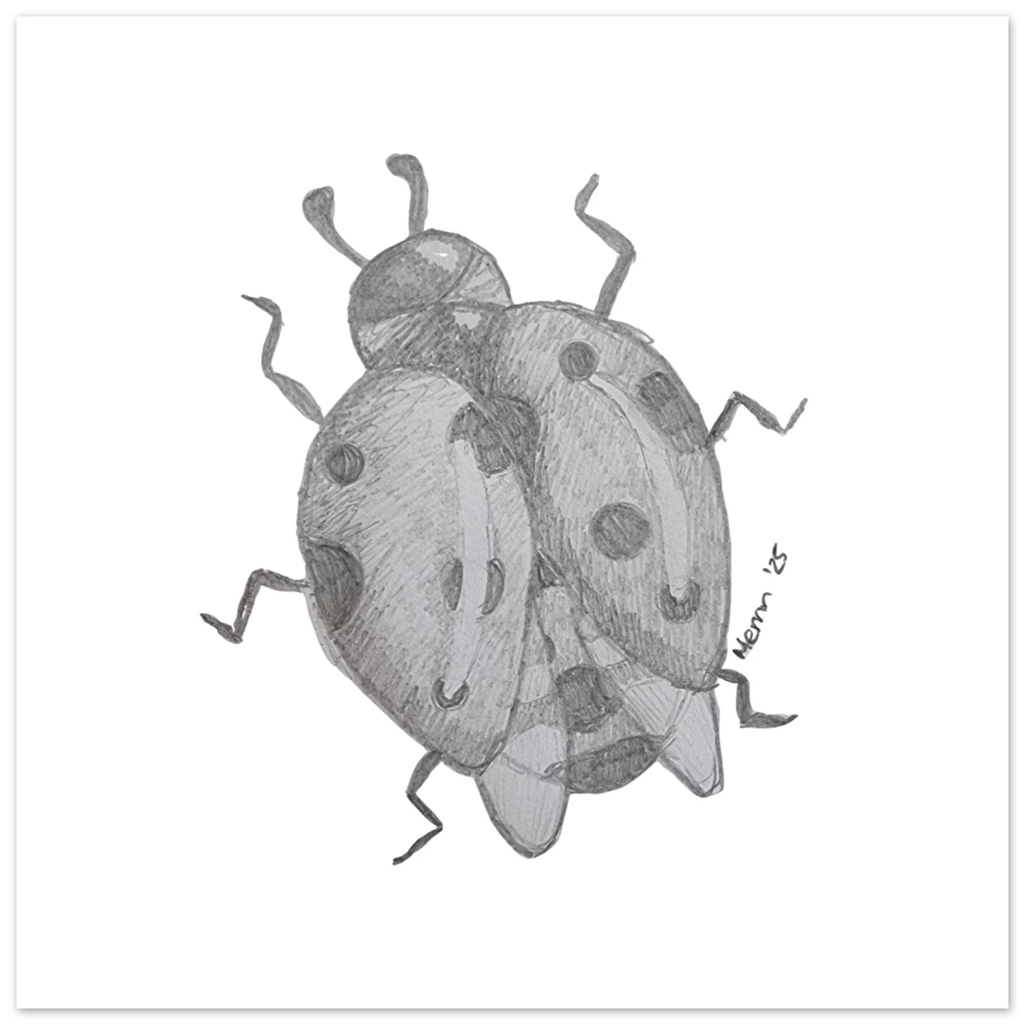 f7dd746c-dd18-4195-8139-5418b1d8f985