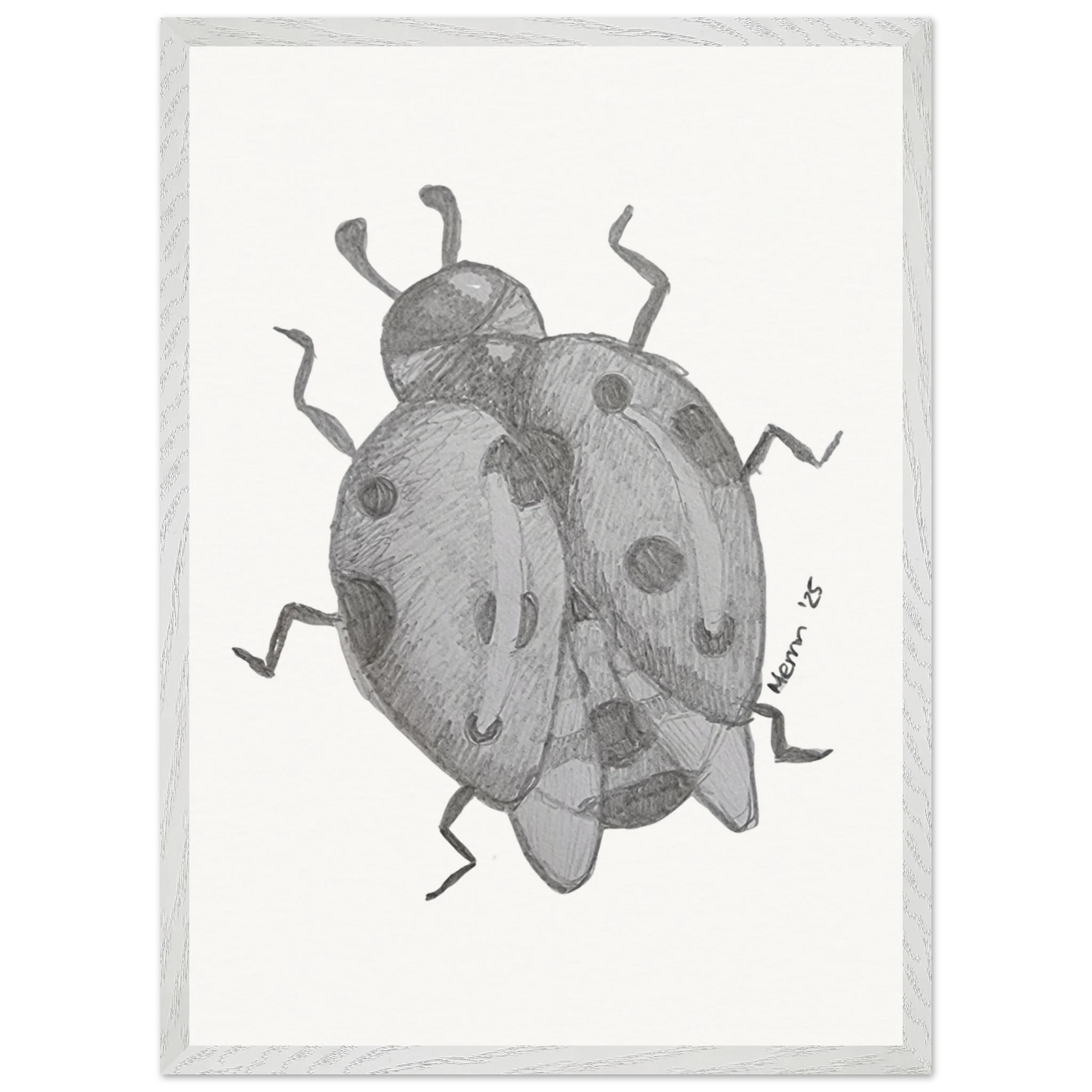 fcc12574-6443-48f4-92e9-c27bb7de6c94