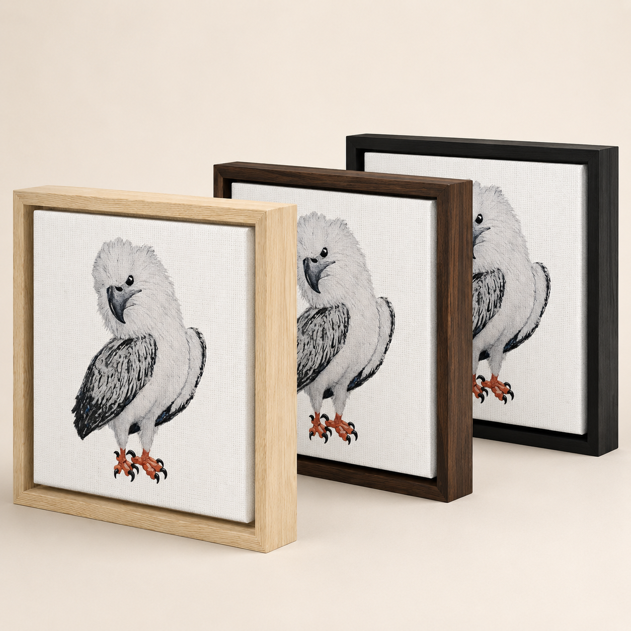 Framed Canvas |"Just a Lil Nibble" White-bellied Sea Eagle Artwork