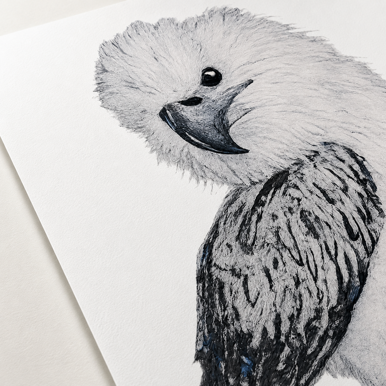 Fine Art Poster Print Wall Art | "Just a Lil Nibble" White-bellied Sea Eagle Artwork
