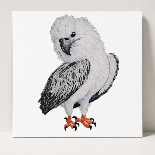 Fine Art Poster Print Wall Art | "Just a Lil Nibble" White-bellied Sea Eagle Artwork