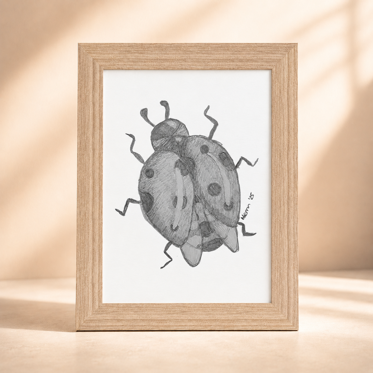 Lady of Ashes Framed Fine Art Print | Symbolic Ladybird Wall Art