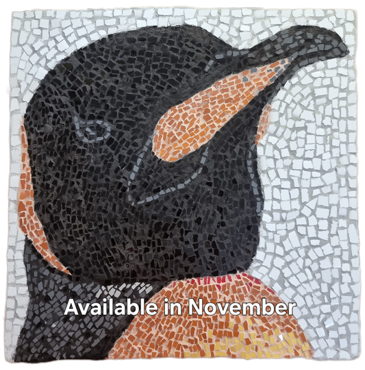 The Mosaic Maker’s Studio Club | Tools Required