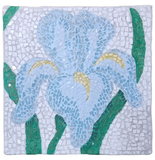 Medium Iris Mosaic Maker’s Studio Kit | Tools Required