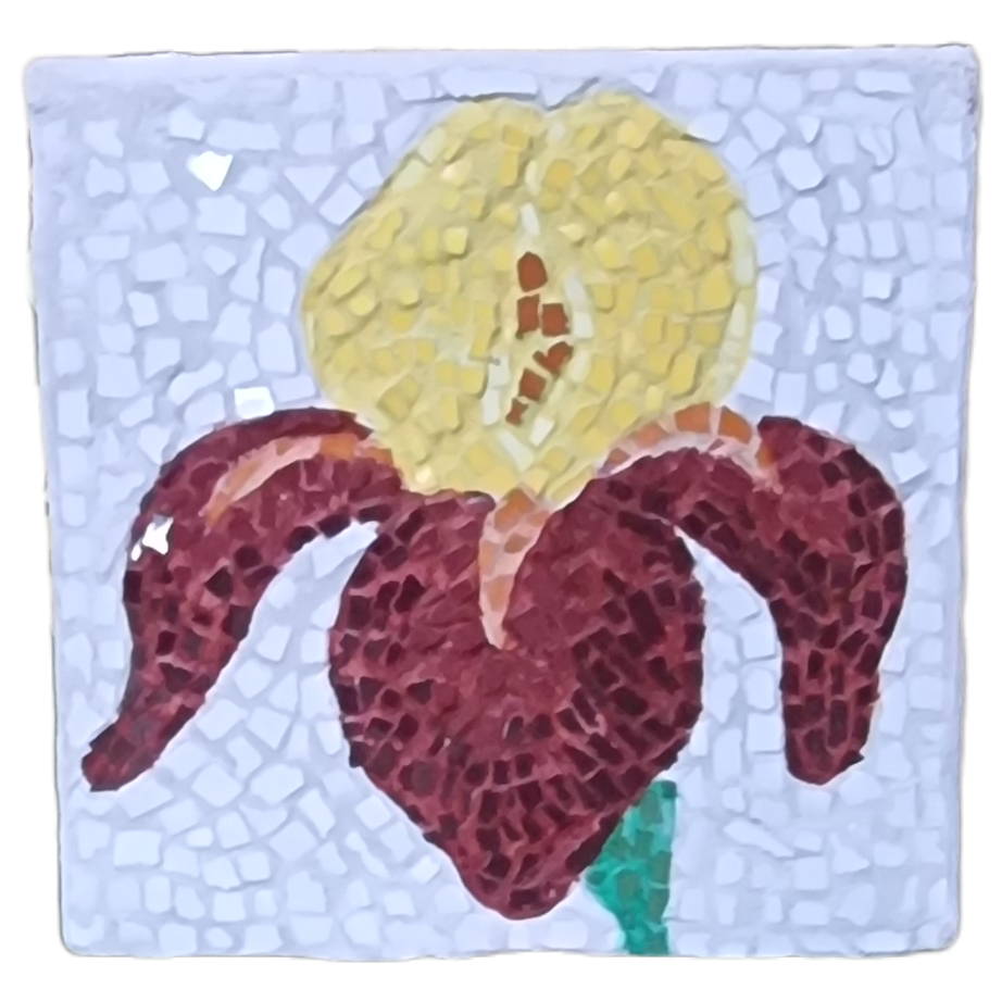 Small Iris Hanging Mosaic Maker’s Studio Kit | Tools Required