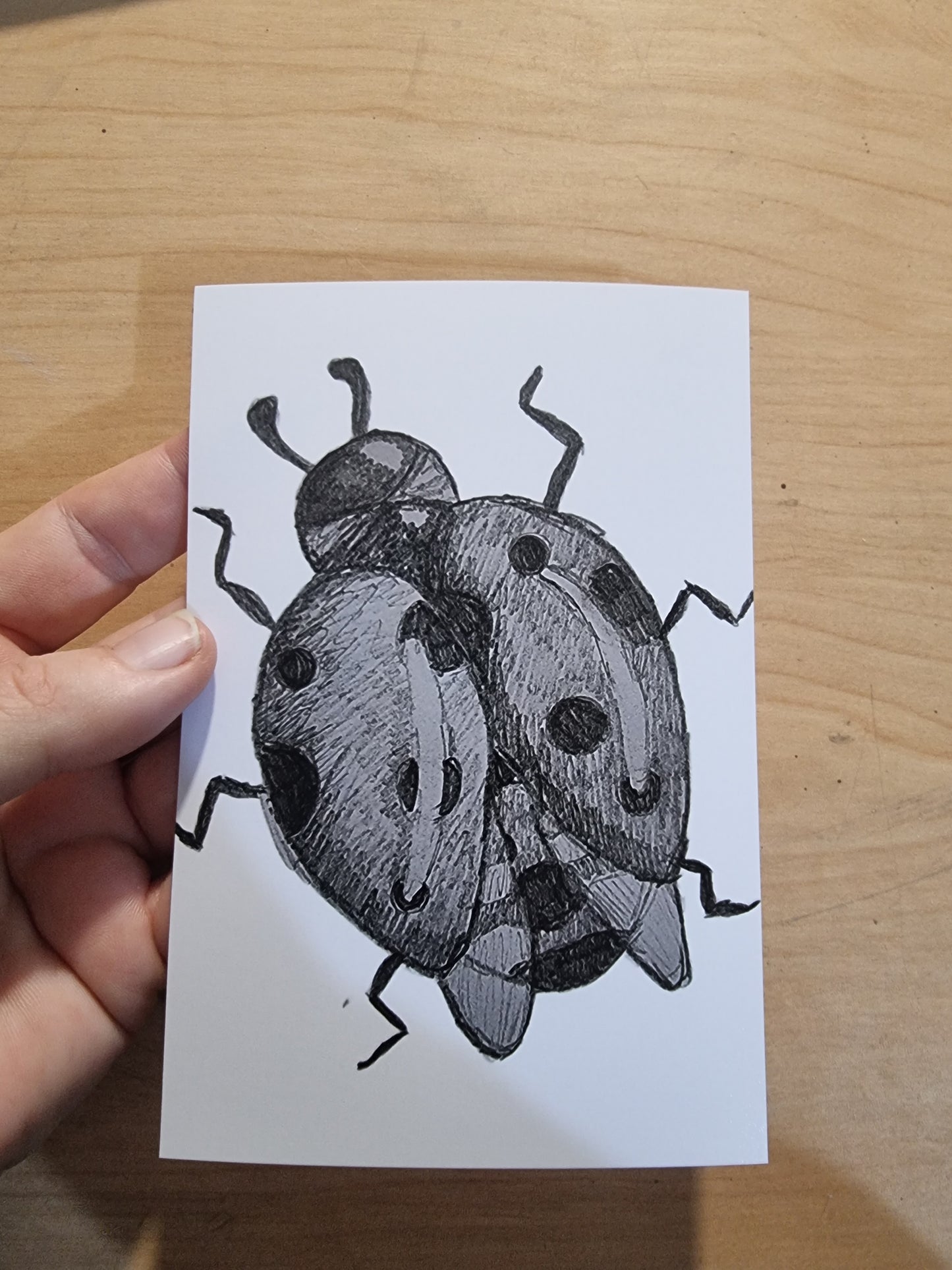 Ladybird Sketch Print – Limited Edition of 30