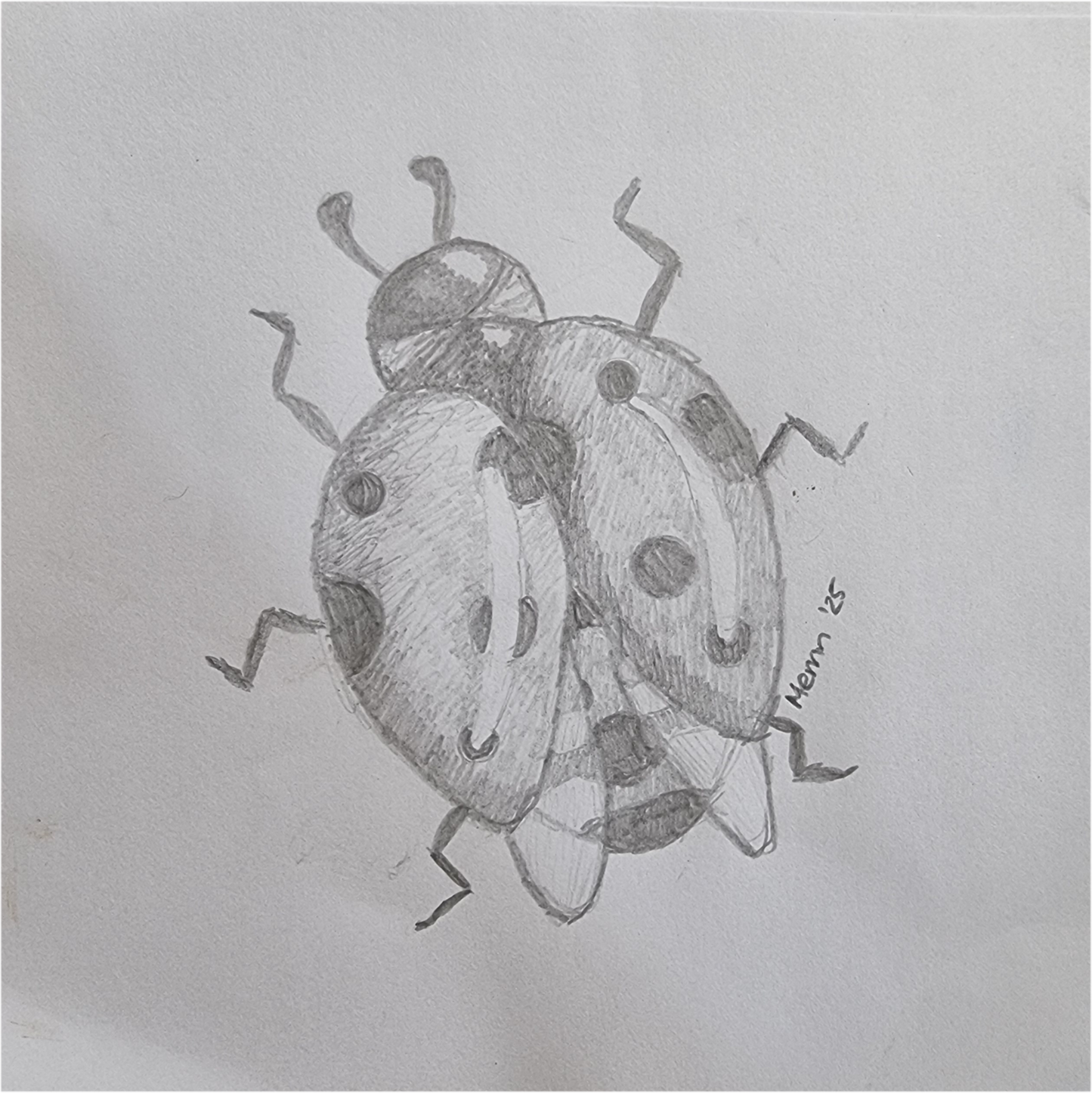 🐞 Lady of Ashes — Original Graphite Stationery Design