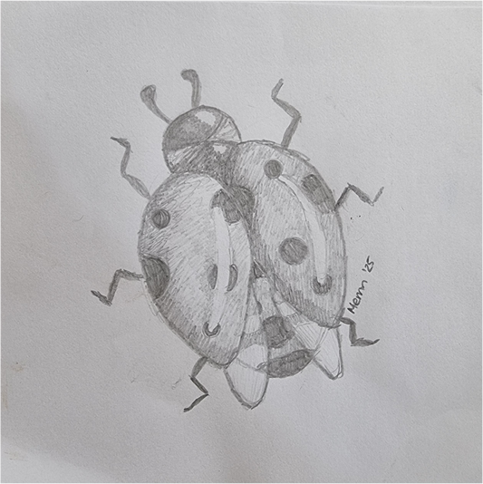 🐞 Lady of Ashes — Original Graphite Stationery Design