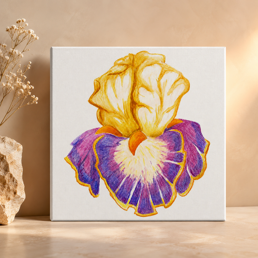 Iris of Solara Canvas Print | Floral Wall Art About Renewal & Choosing Yourself