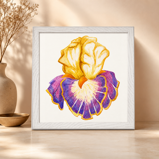 Iris of Solara Framed Watercolour Pencil Artwork | Premium Wooden Frame Poster