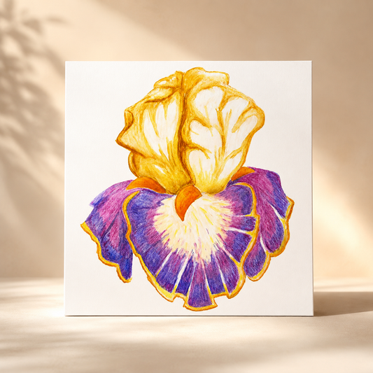 Iris of Solara Fine Art Poster | Floral Watercolour Pencil Wall Art