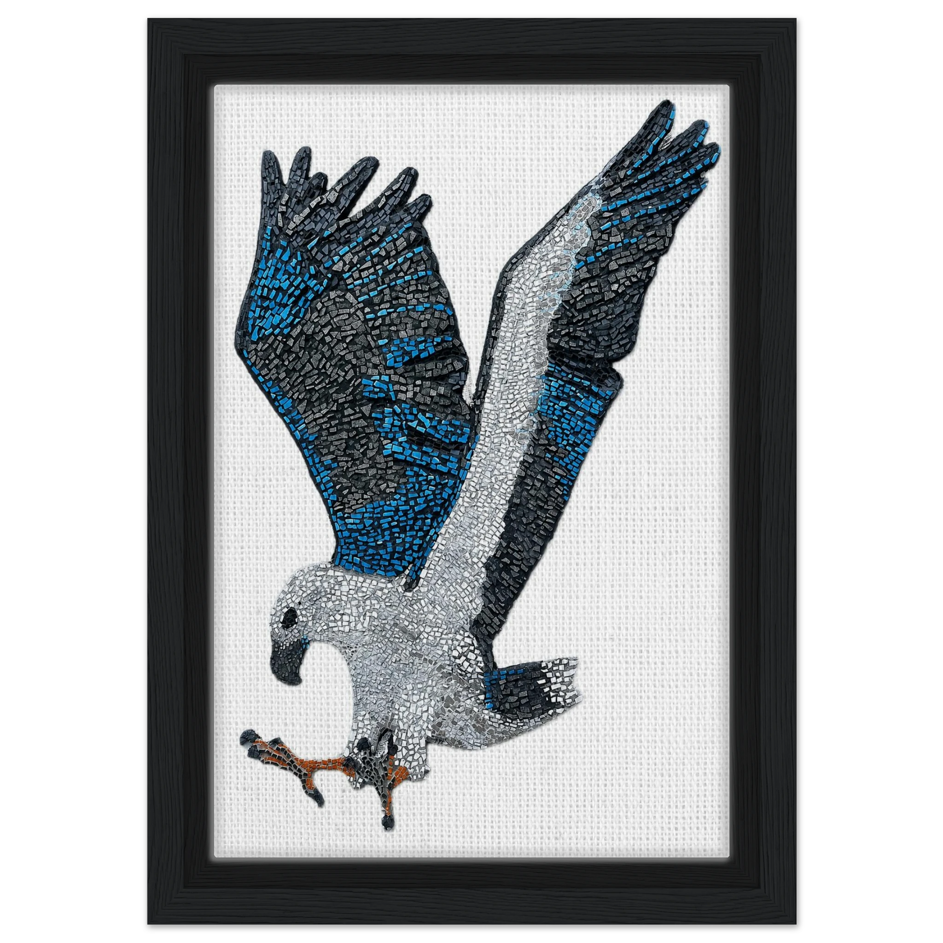 willow the white-bellied sea eagle mosaic printed on black framed canvas